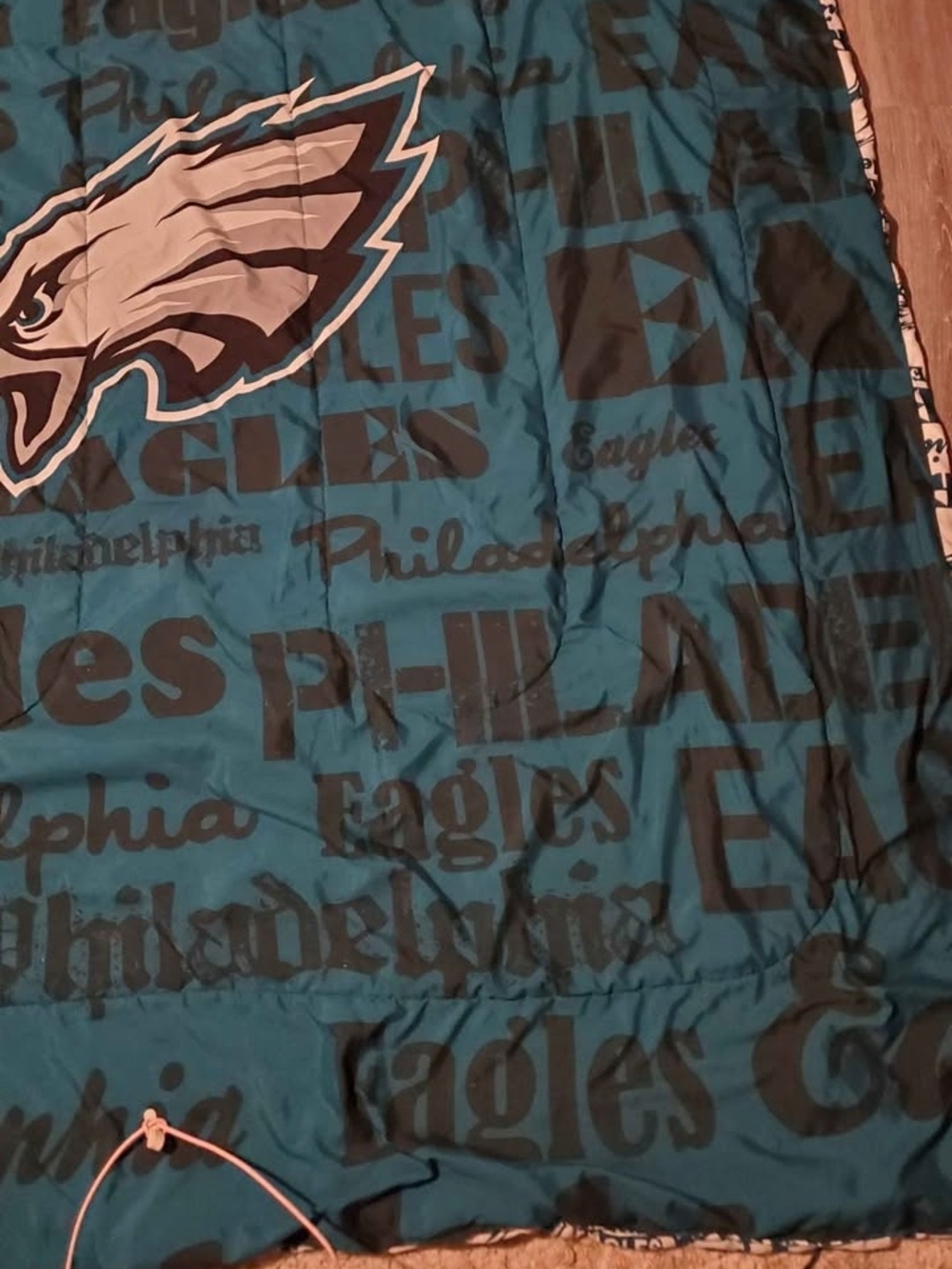 EAGLES Teal Reversible Comforter - Official Team Logo Bedding Twin